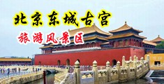 阴茎插入美女的屄中国北京-东城古宫旅游风景区